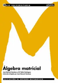 Álgebra Matricial.