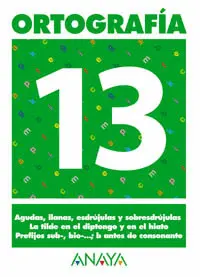 13 ORTOGRAFIA 13