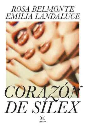 Corazón de Sílex