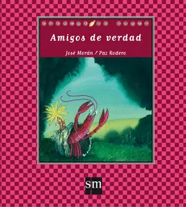 AMIGOS DE VERDAD    MAYUSCULA