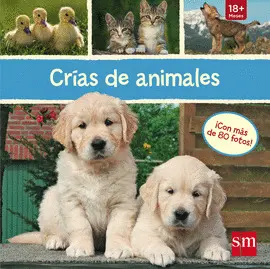 OFERTA-CRIAS DE ANIMALES OFERTA-CRIAS DE ANIMALES