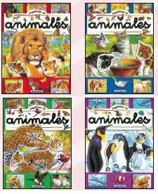 PEGATINAS DE NÚMEROS (4 TÍTULOS)