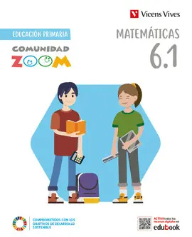 6 MATEMATICAS 6 TRIM (COMUNIDAD ZOOM)