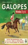 CURSO DE EQUITACION GALOPES - NIVELES 5 Y 6