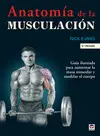 ANATOMIA DE LA MUSCULACION