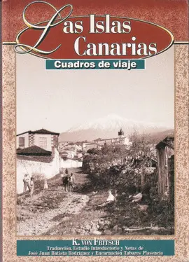 LAS ISLAS CANARIAS. CUADROS DE VIAJE