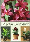 OFERTA - PLANTAS DE INTERIOR