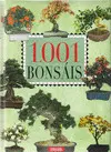 OFERTA - BONSAIS