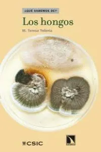 LOS HONGOS
