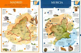 PEGATINAS 1 (2 TÍTULOS)