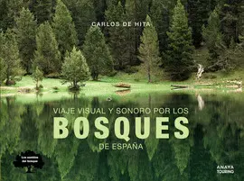 VIAJE BOSQUES DE ESPAÑA