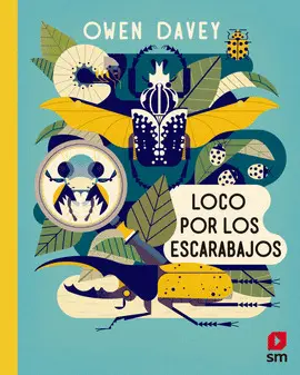 OFERTA-LOCO POR LOS ESCARABAJOS