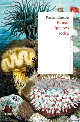 EL MAR QUE NOS RODEA EL MAR QUE NOS RODEA