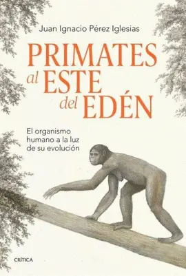 PRIMATES AL ESTE DEL EDÉN PRIMATES AL ESTE DEL EDÉN