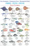 FISHES / PECES / FISCHE GUIA SUMERGIBLE
