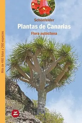 PLANTAS DE CANARIAS