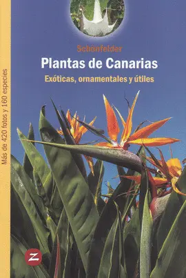 Plantas de Canarias Exoticas Ornamentales