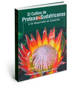 Cultivo de Proteas Sudafricanas y Su Desarrollo en Canarias