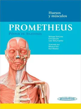 PROMETHEUS POSTER ANATOMIA. HUESOS Y MUSCULOS