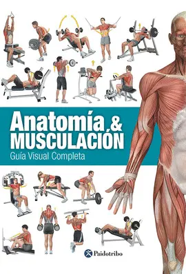 ANATOMÍA & MUSCULACIÓN