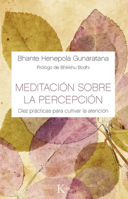 MEDITACION SOBRE LA PERCEPCION