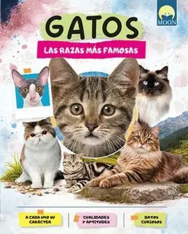 Gatos. Las Razas Mas Famosas