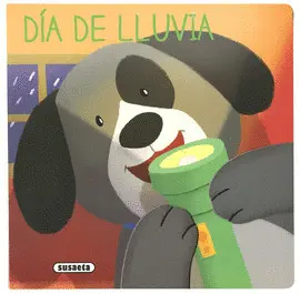 Día de Lluvia