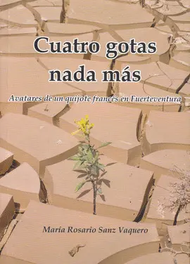 CUATRO GOTAS NADA MAS